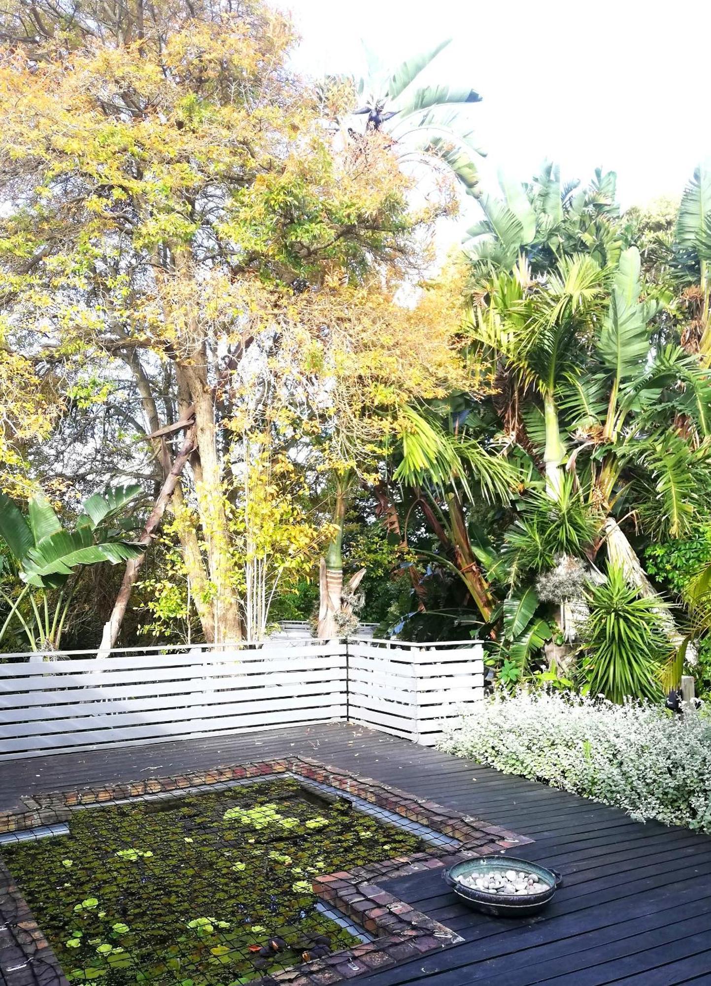 Tranquil Gem - Lush Garden View & Solar Energy! Daire Plettenberg Bay Dış mekan fotoğraf